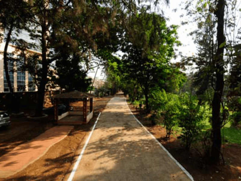 gallery_10