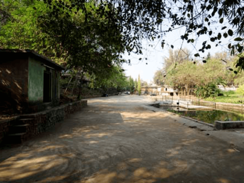 gallery_20